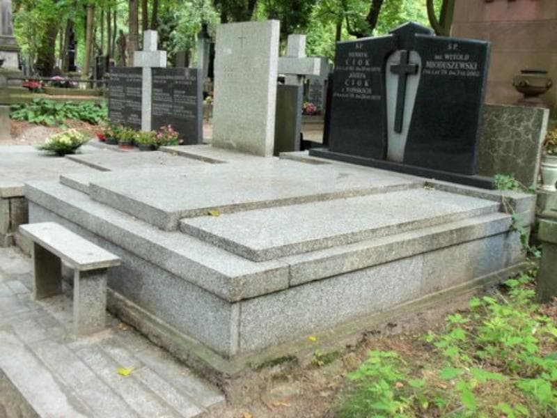 Zdjęcie grobu Józefa Ciok (1)