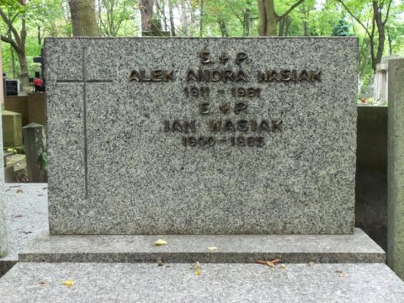 Zdjęcie grobu Jan Wasiak (2)