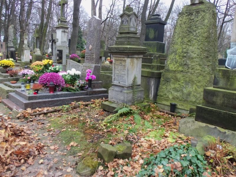 Zdjęcie grobu Felicja Bagińska (1)