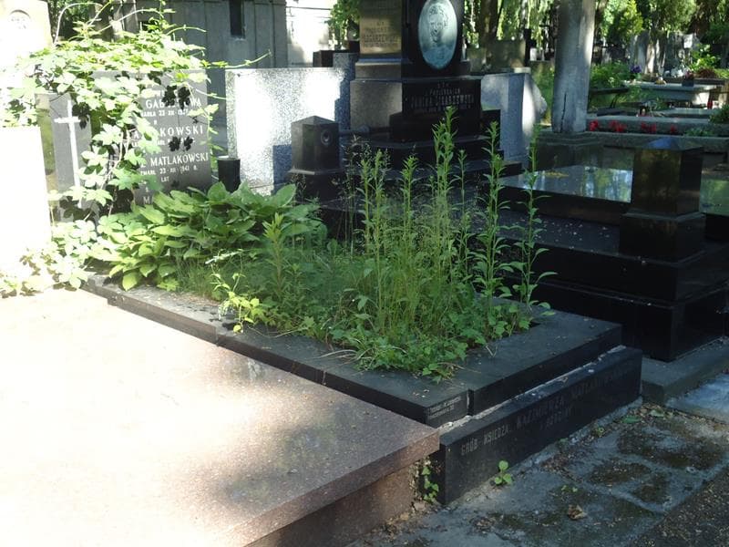 Zdjęcie grobu Helena Matlakowska (1)