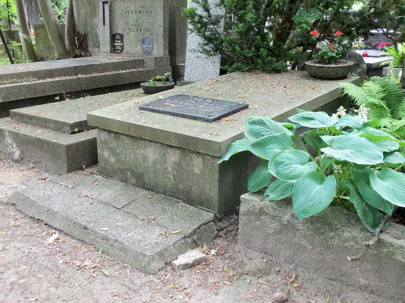 Zdjęcie grobu Jerzy Domański (2)