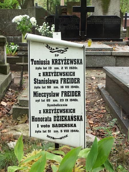 Zdjęcie grobu Toniusia Krzyżewska (2)
