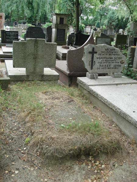 Zdjęcie grobu Zofia Limanowska-Suchodolska (1)