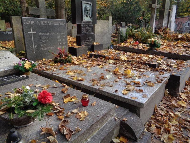 Zdjęcie grobu: Jan Bieniek