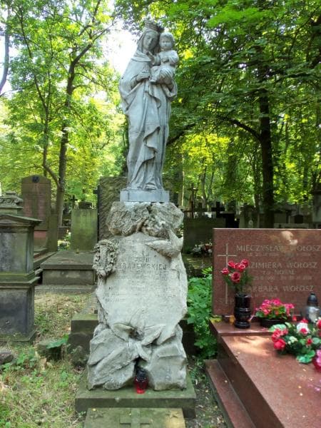 Zdjęcie grobu Michał Krajewski (1)