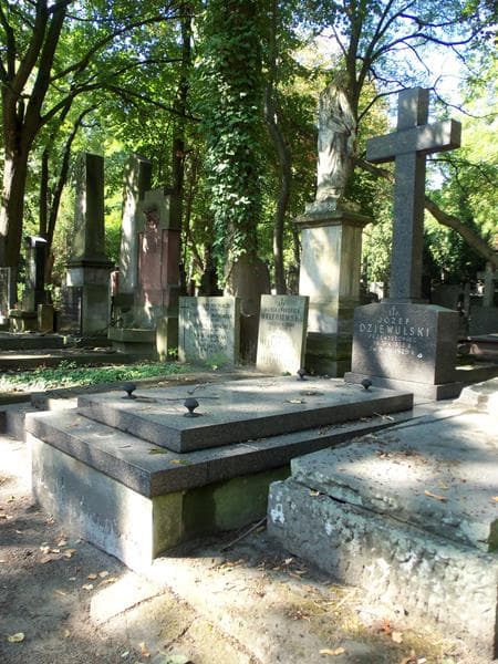 Zdjęcie grobu Zofia Kunkel (1)