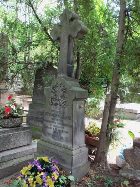 Zdjęcie grobu Zygmunt Stronczyński (2)