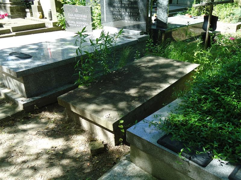 Zdjęcie grobu Janina Barthel De Weydenthal (1)