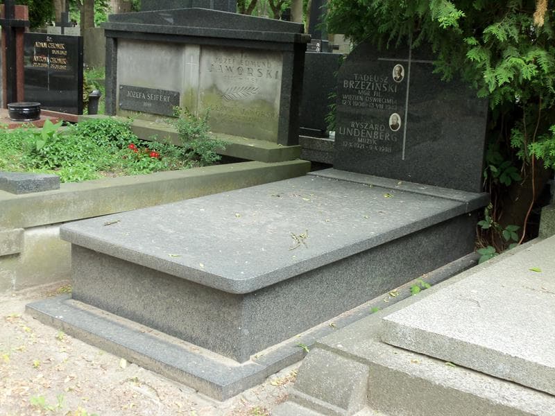 Zdjęcie grobu Tadeusz Brzeziński (1)