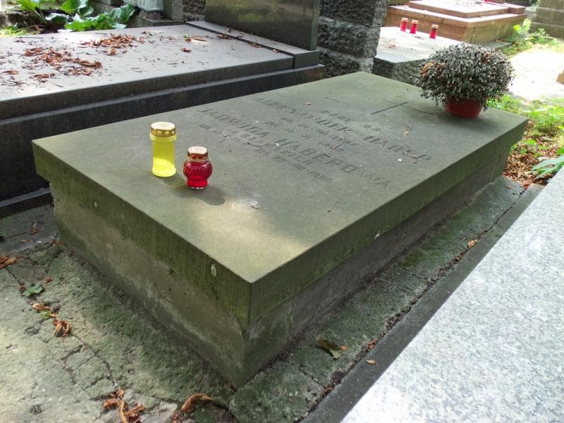 Zdjęcie grobu Aleksander Haber (2)