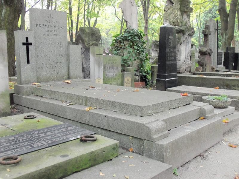 Zdjęcie grobu Wacław Jerzy Przyjemski (1)