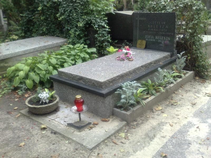Zdjęcie grobu Czesław Kulesza (1)