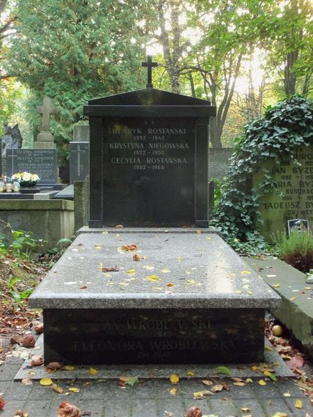 Zdjęcie grobu: Jan Wróblewski