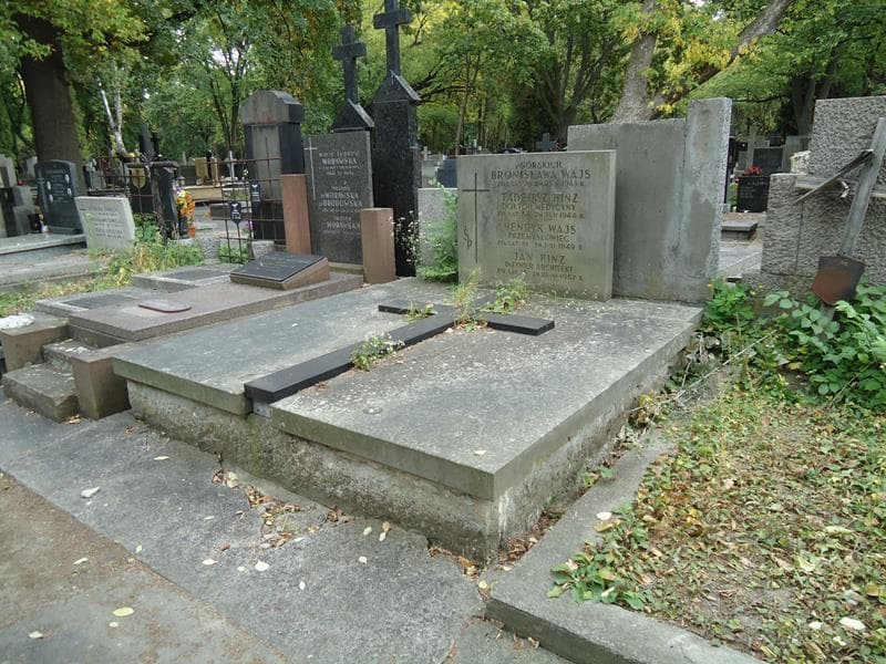 Zdjęcie grobu Bronisława Wajs (1)