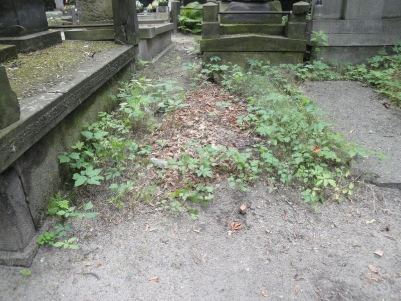 Zdjęcie grobu: Pole Grobowe