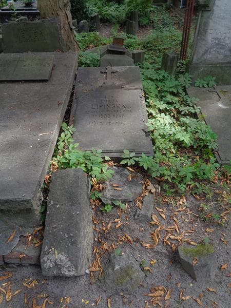 Zdjęcie grobu Emilja Lipińska (1)