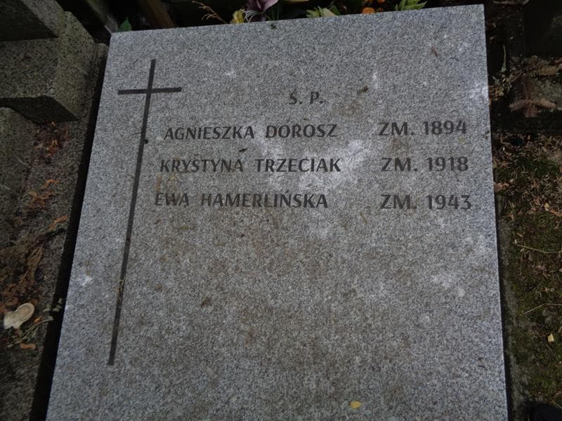 Zdjęcie grobu Agnieszka Dorosz (2)