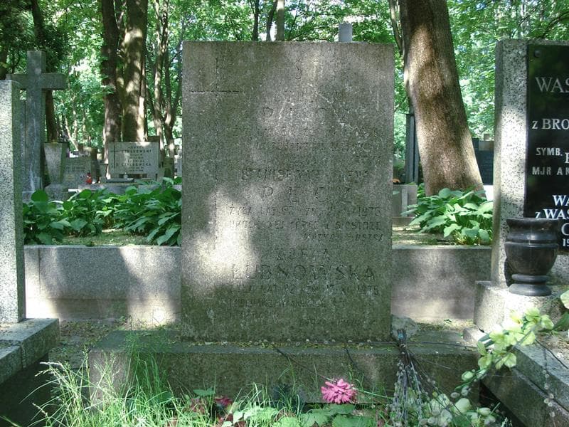 Zdjęcie grobu Ludwik Pecz (1)