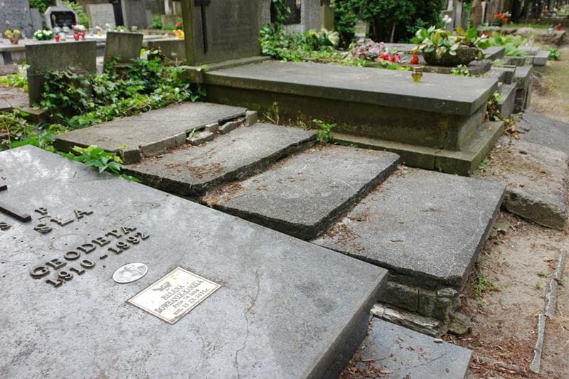 Zdjęcie grobu: Wacława Ostrihańsky