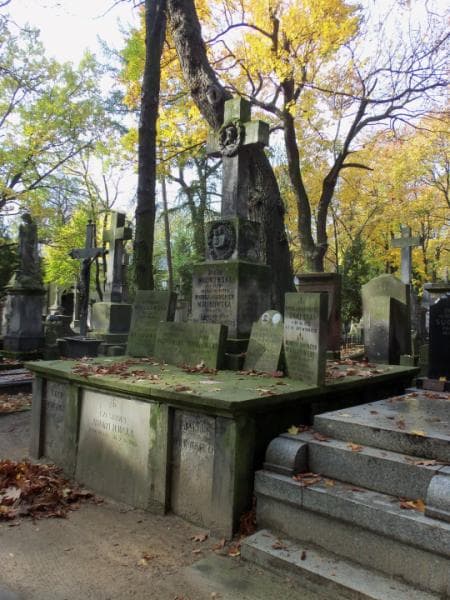 Zdjęcie grobu Czesława Andrzejewska (1)