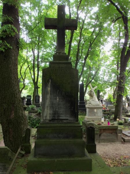 Zdjęcie grobu Leon Wasilewski (2)