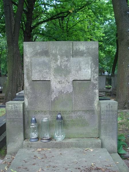 Zdjęcie grobu Edwarda Mikulec (1)