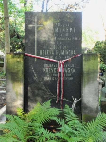 Zdjęcie grobu Irena Krzyczkowska (2)