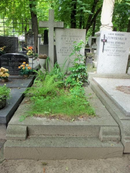 Zdjęcie grobu: Józefa Hoffman