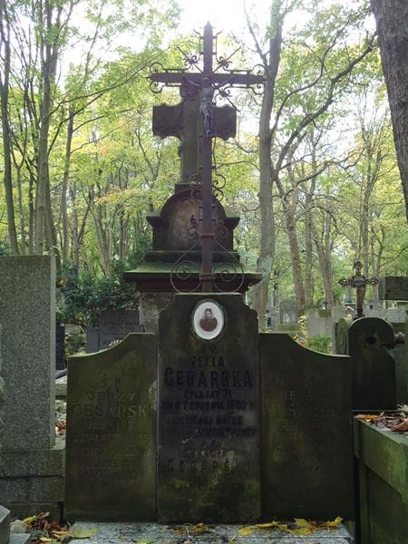Zdjęcie grobu Jerzy Cesarski (2)