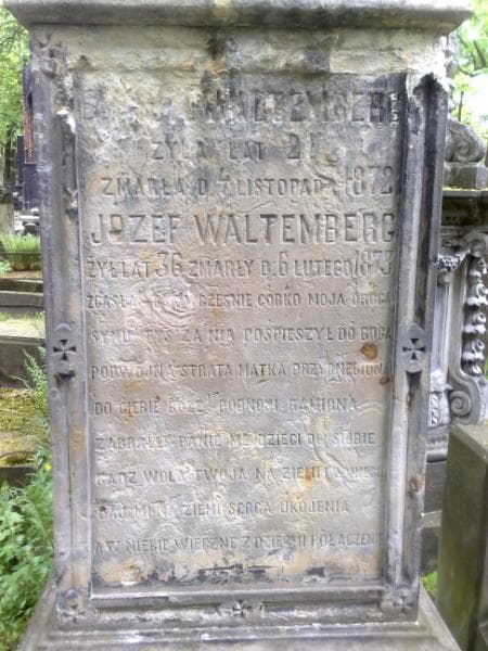 Zdjęcie grobu Józef Waltemberg (2)