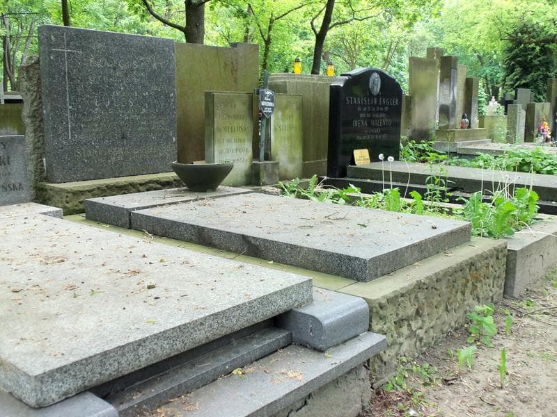 Zdjęcie grobu Stanisława Dudzińska (1)