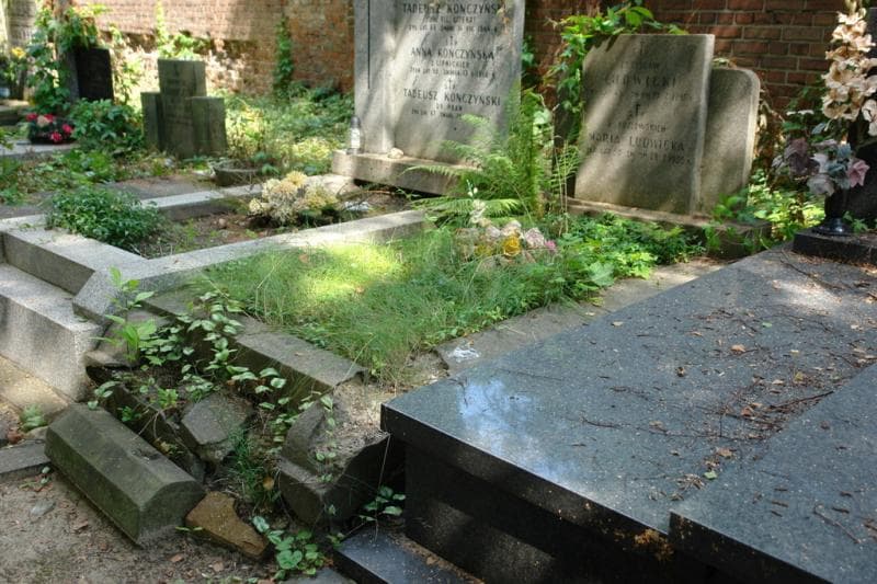 Zdjęcie grobu Maria Ludwicka (1)