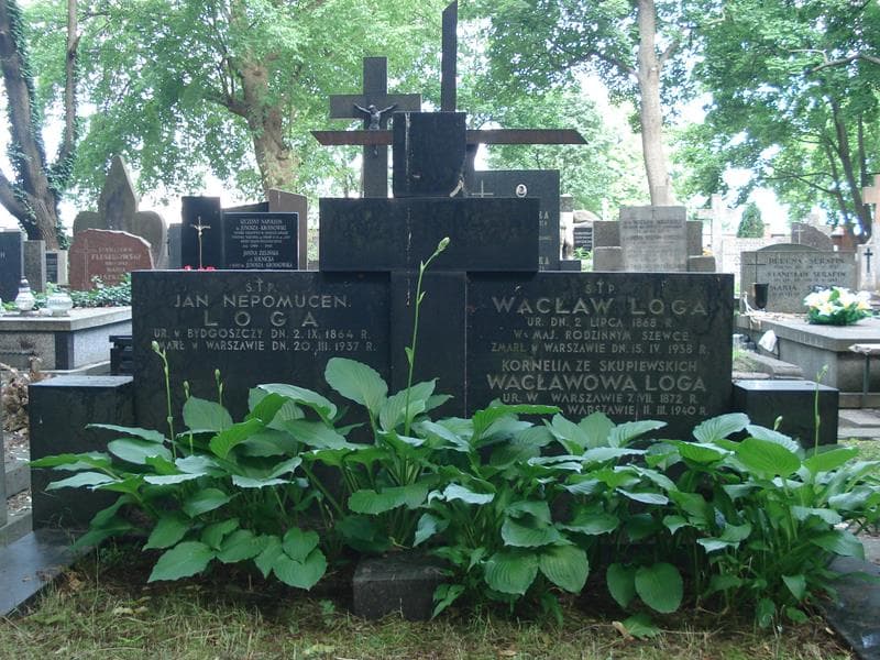 Zdjęcie grobu Wacław Loga (1)