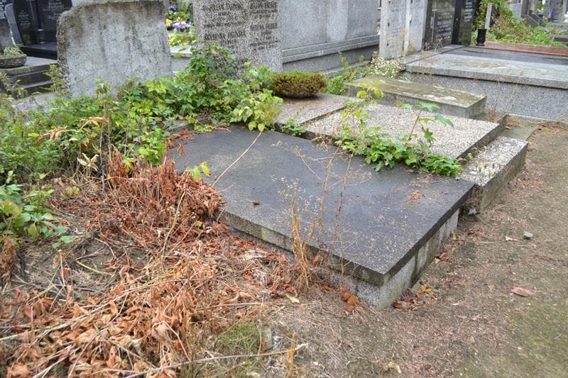 Zdjęcie grobu: Stanisława Brzezińska