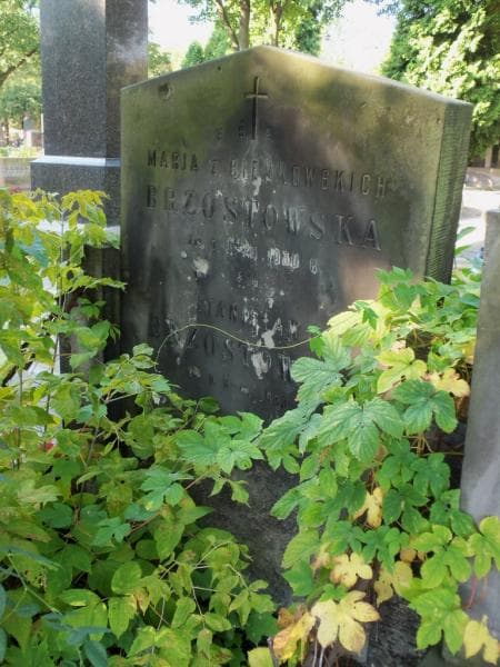 Zdjęcie grobu Marja Brzostowska (2)
