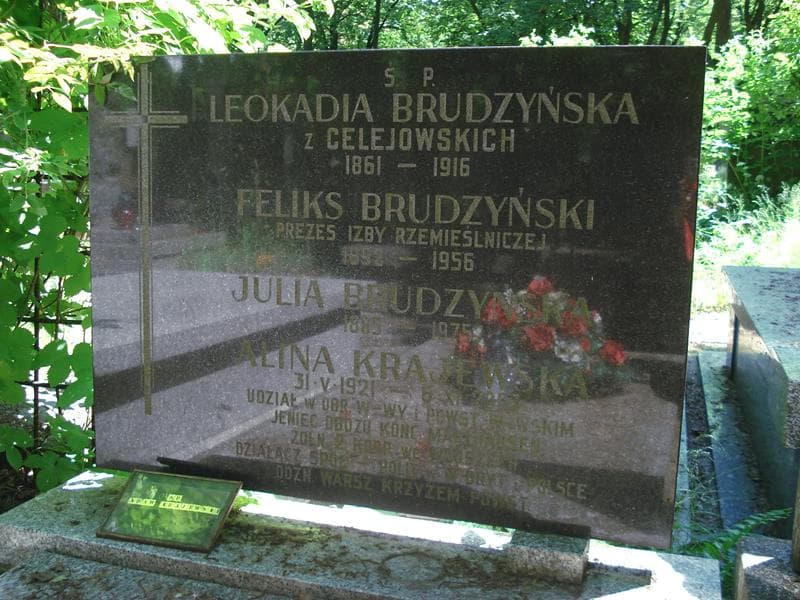 Zdjęcie grobu Feliks Brudzyński (1)