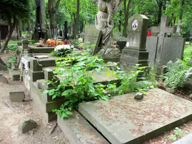 Zdjęcie grobu Franciszka Czechowiczowa (1)