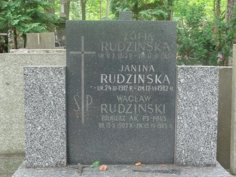 Zdjęcie grobu Zofia Rudzińska (2)