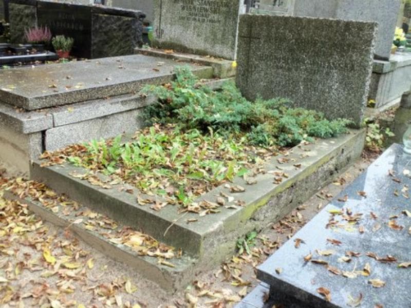 Zdjęcie grobu Bronisława Wolańska (1)