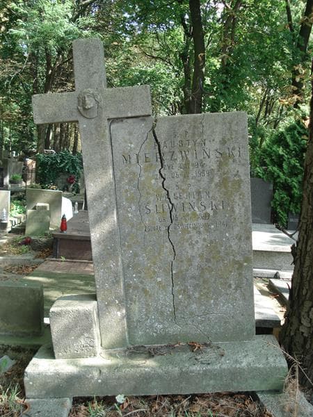 Zdjęcie grobu Faustyn Mierzwiński (2)