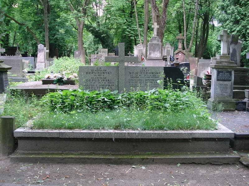 Zdjęcie grobu Władysław Deputowski (1)