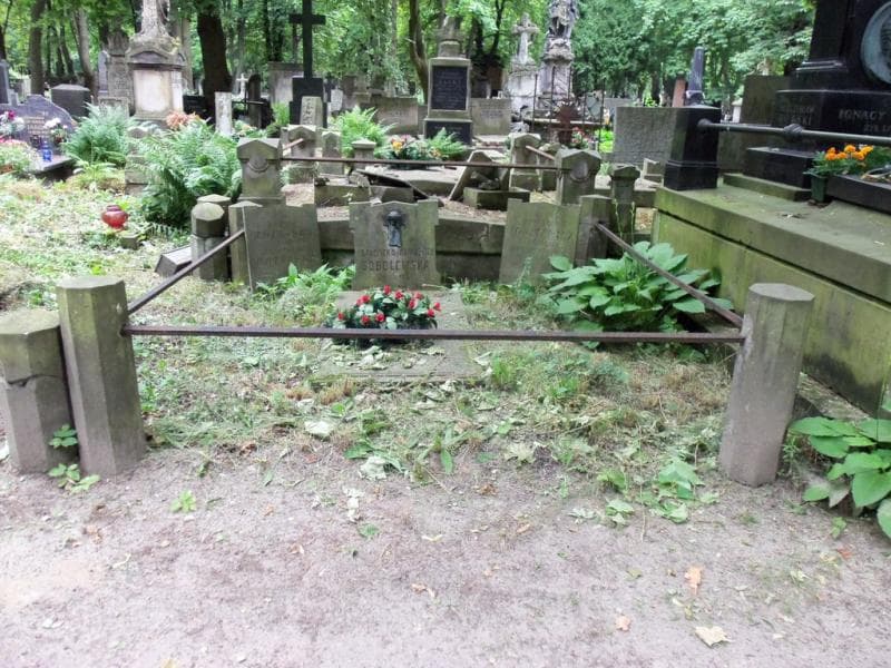 Zdjęcie grobu: Stanisława Ignatowiczowa