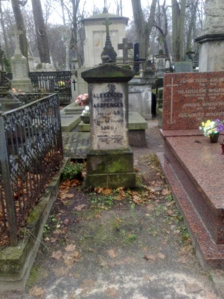 Zdjęcie grobu: Alexander Aszperger