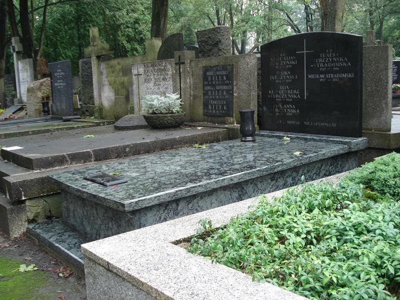 Zdjęcie grobu Julia Klingenberg-Turczyńska (1)