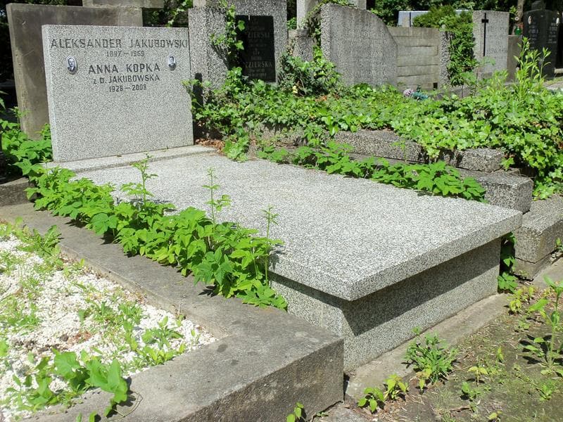 Zdjęcie grobu Aleksander Jakubowski (1)