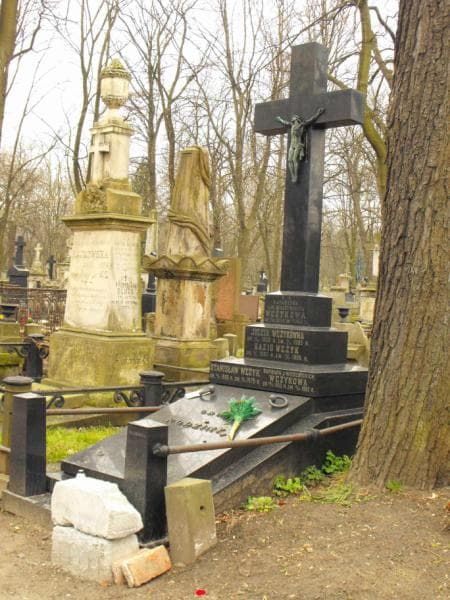 Zdjęcie grobu Stanisław Wężyk (1)
