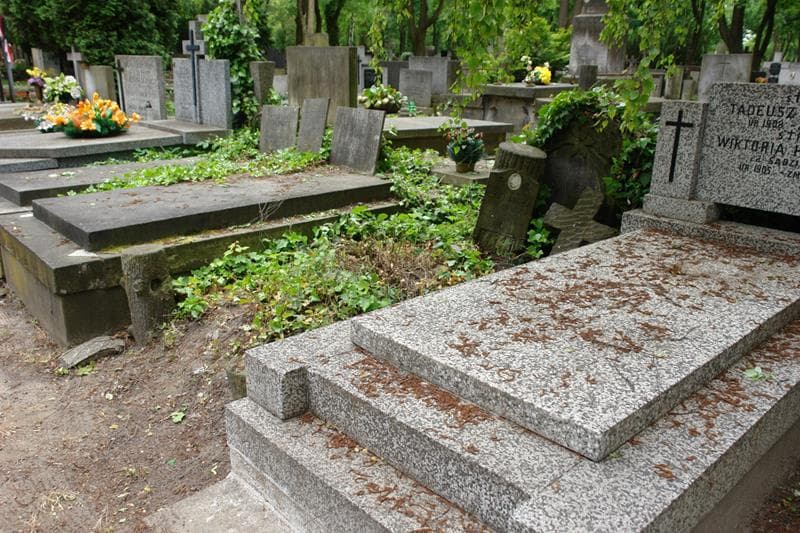 Zdjęcie grobu: Julia Wronowska