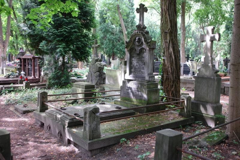Zdjęcie grobu Franciszka Brulińska (1)