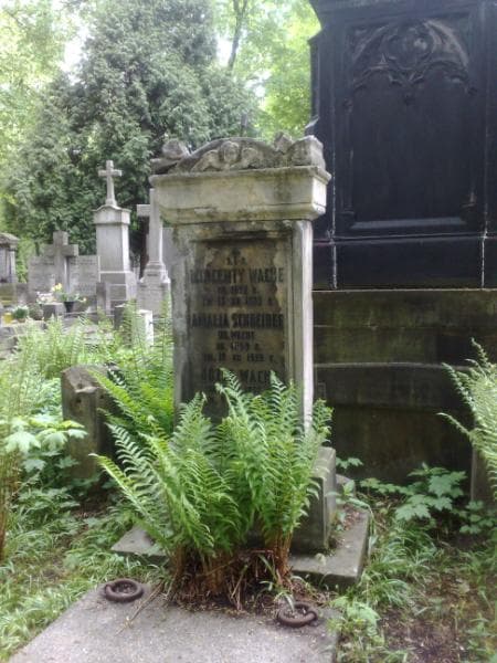 Zdjęcie grobu Józef Wache (1)