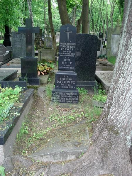 Zdjęcie grobu Stanisław Daćewicz (1)